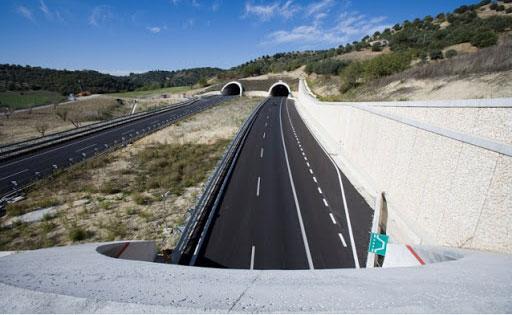 Autostrada A3 A2 del mediterraneo